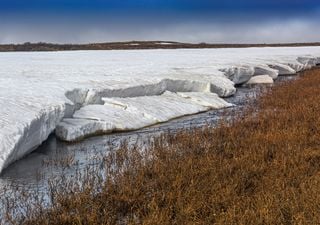 Los científicos confirman que el calentamiento global está acelerando la liberación de CO2 de las rocas del Ártico