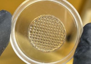 Los científicos desarrollan piel impresa en 3D con células vivas para realizar pruebas de cosméticos libres de crueldad