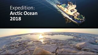 Los científicos descubren una cinta transportadora de carbono en el Ártico