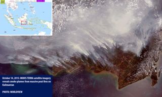 Los clérigos de Indonesia lanzan una fatua contra los incendios forestales