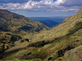 Los continentes crecen tras la colisión de dos placas continentales