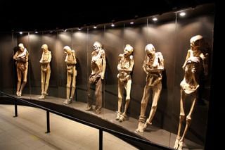 Los cuerpos de Guanajuato no fueron embalsamados: la ciencia confirma que la clave est&aacute; en la tierra del pante&oacute;n