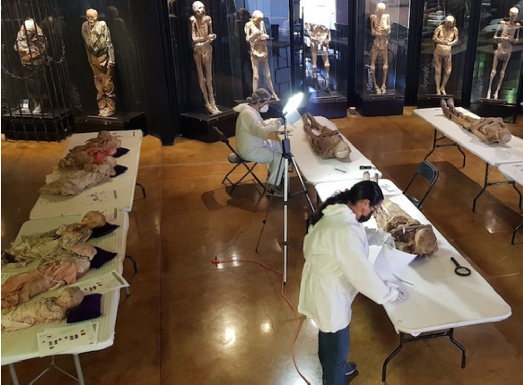 La ciencia detrás del proceso único de momificación de Guanajuato es una fascinante mezcla de factores ambientales. Foto INAH.