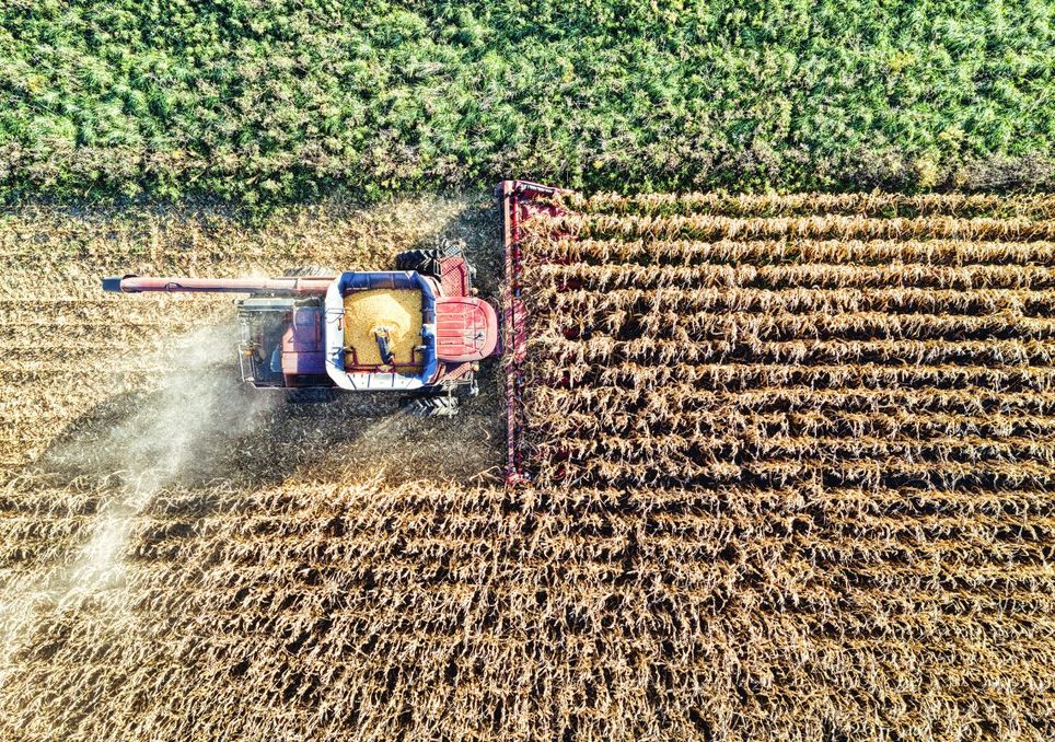 Agricultura Agricultura