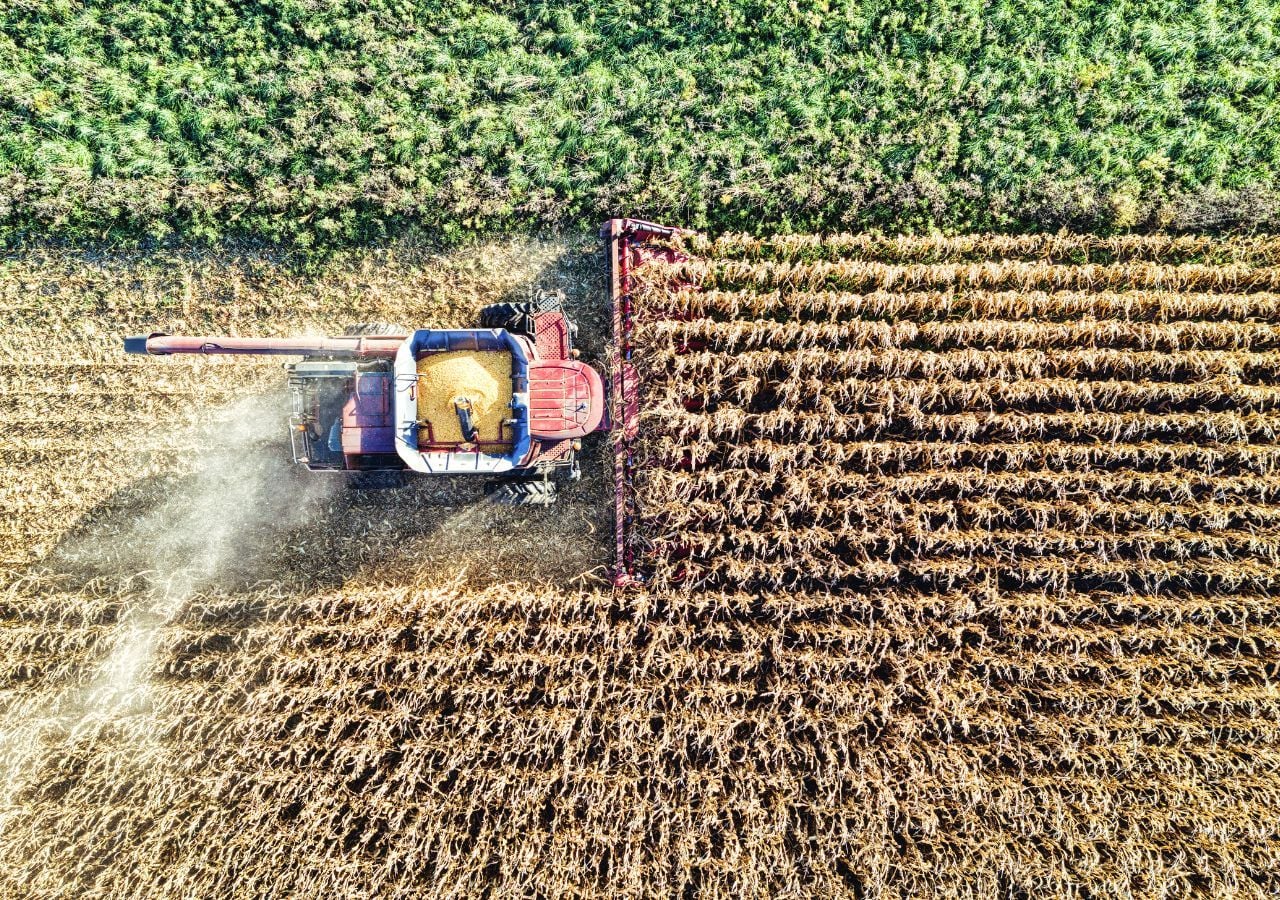 Los cultivos nacionales absorben anualmente 31.764 kilotoneladas de dióxido de carbono más de las que emiten a la atmósfera