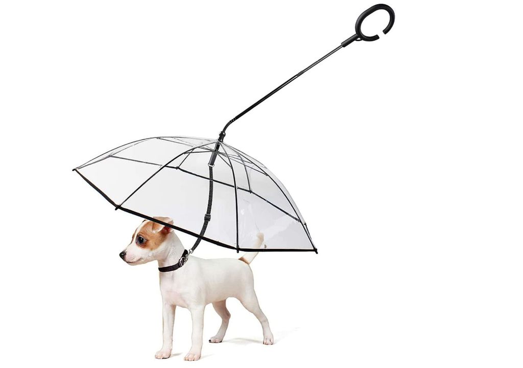 Paraguas para mascotas