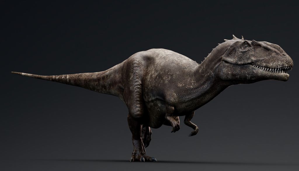 Modelo realista de Carcharodontosaurus.
