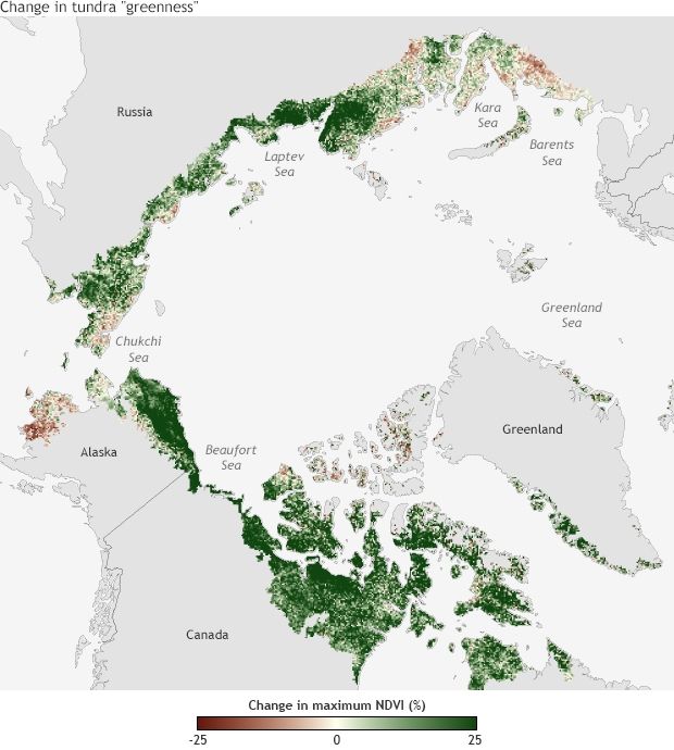 Los Ecosistemas árticos En Un Mundo Más Cálido