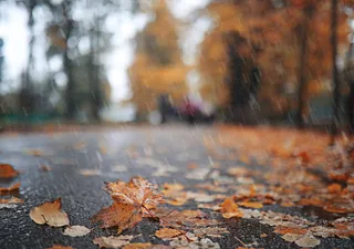 Los efectos de El Niño comenzarán este otoño: las lluvias benéficas aumentarían con ambiente fresco