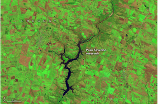 Los embalses se secan en Montevideo, Uruguay