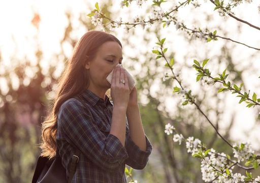 &iquest;Los estornudos son la nueva normalidad? Las alergias en ascenso debido al cambio clim&aacute;tico