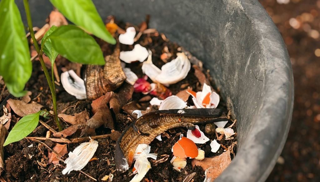 restos poda No tires los restos vegetales de poda, aprovéchalos.