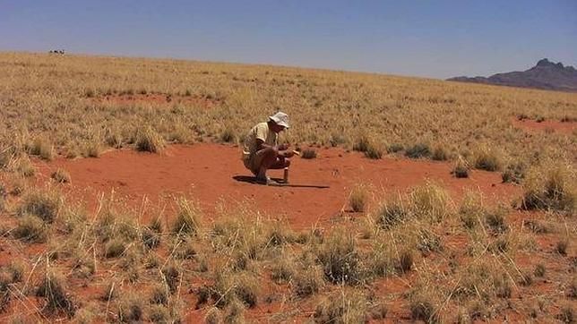 Anillos de hadas del desierto. Fuente: abc.es