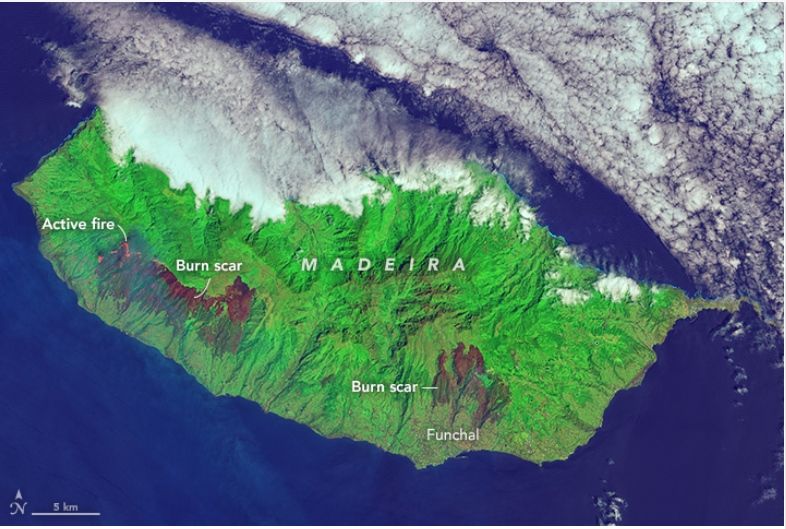 Los Fuegos Carbonizan A Madeira
