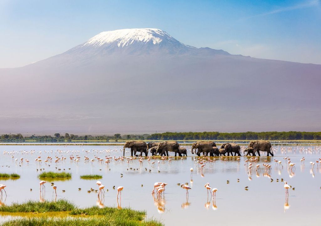 Glaciar Kilimanjaro