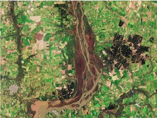 Los humedales del río Uruguay