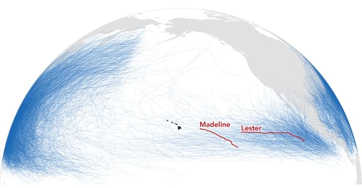 Los Huracanes Madeline Y Lester Hacia Hawai: Hecho Histórico Los Huracanes Madeline Y Lester Hacia Hawai: Hecho Histórico