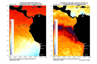 Los impactos de El Ni&ntilde;o costero en las temperaturas del norte de Chile