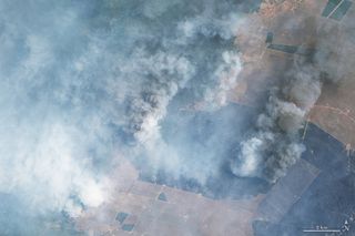 Los incendios arrasan Corrientes, Argentina