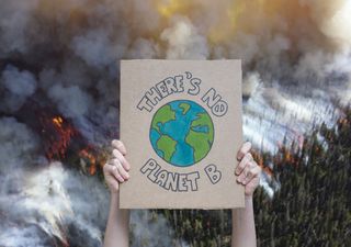 Los incendios entran en bucle: víctimas del cambio climático y aliados