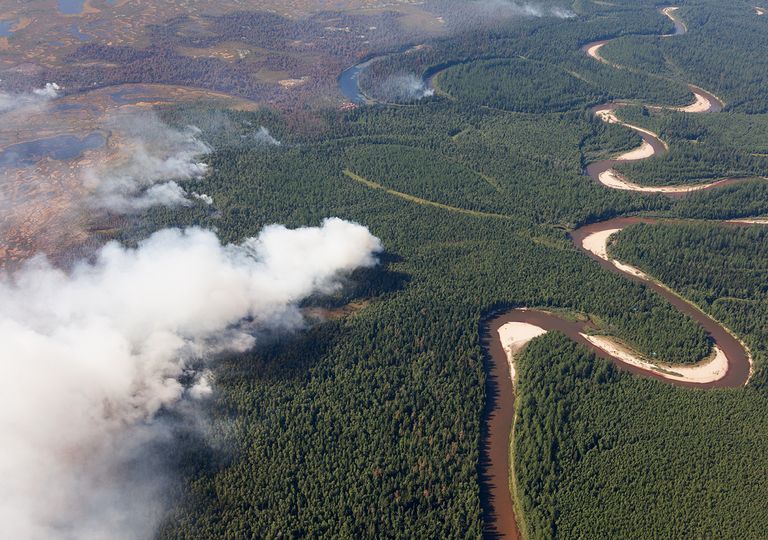 Incendios en Siberia Incendios en Siberia