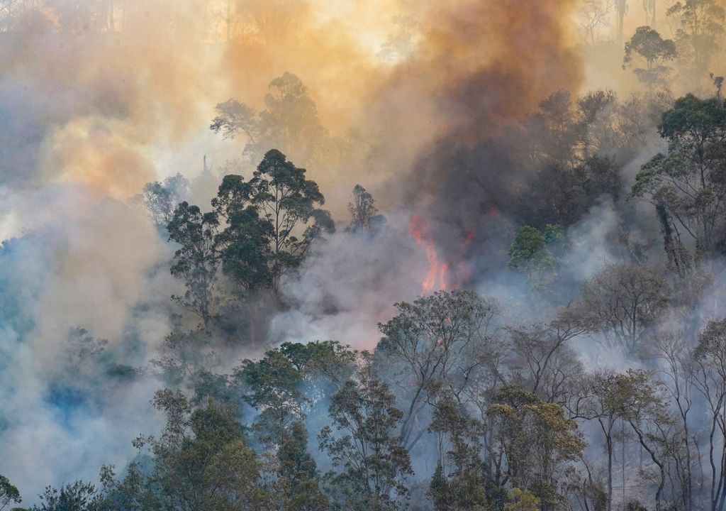 incendios florestais incendios florestais