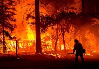 Los incendios forestales están detrás del aumento récord en el nivel global de CO2 que potencia el calentamiento global