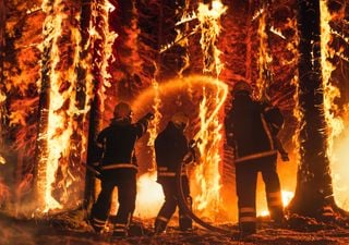 Los incendios forestales más letales y extensos de España: un repaso con datos clave