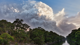 Incendios forestales que se vuelven devastadores en pocos minutos: cómo el tiempo influye en su propagación