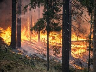 Agosto es el mes con mayor riesgo de grandes incendios forestales