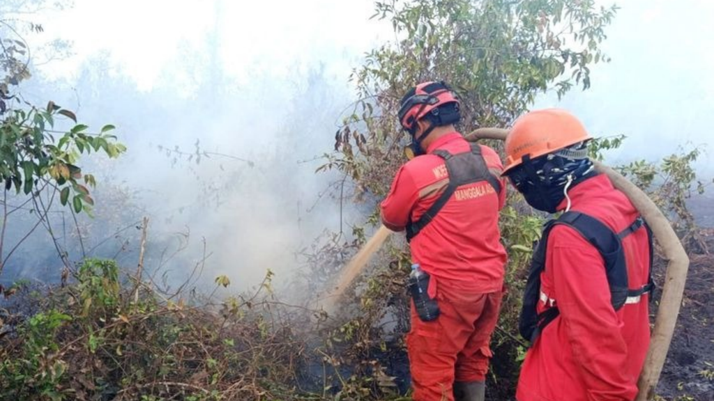 Ante el aumento de los puntos de calor, se refuerzan las operaciones y la protección de la fauna silvestre. Imagen tomada del Comunicado de Prensa del Ministerio de Silvicultura.