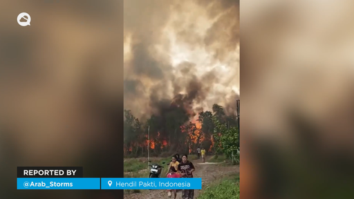 Los incendios masivos de las &uacute;ltimas horas en Indonesia ponen en jaque a varias ciudades