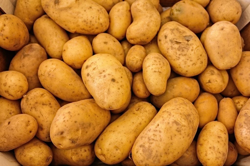 Las patatas podrían haber generado un aparato digestivo especial en los indígenas andinos. Imagen PXHERE.com