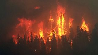 Los ingredientes perfectos de los mega incendios