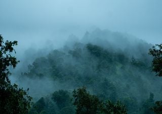 Los lugares más lluviosos en México y en el mundo, te sorprenderá todo lo que puede llover en un año