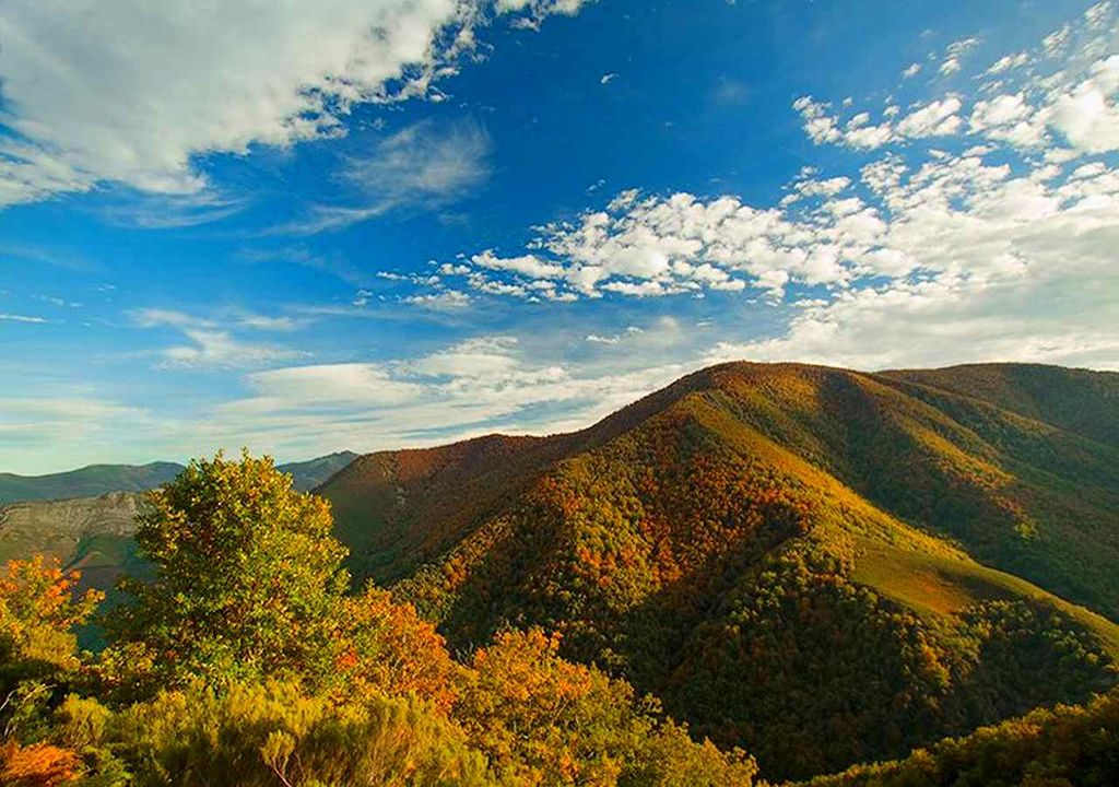 Los 3 mejores bosques para disfrutar a lo grande del otoño en España  Los-mejores-bosques-para-disfrutar-a-lo-grande-del-otono-en-espana-1693847013255_1024