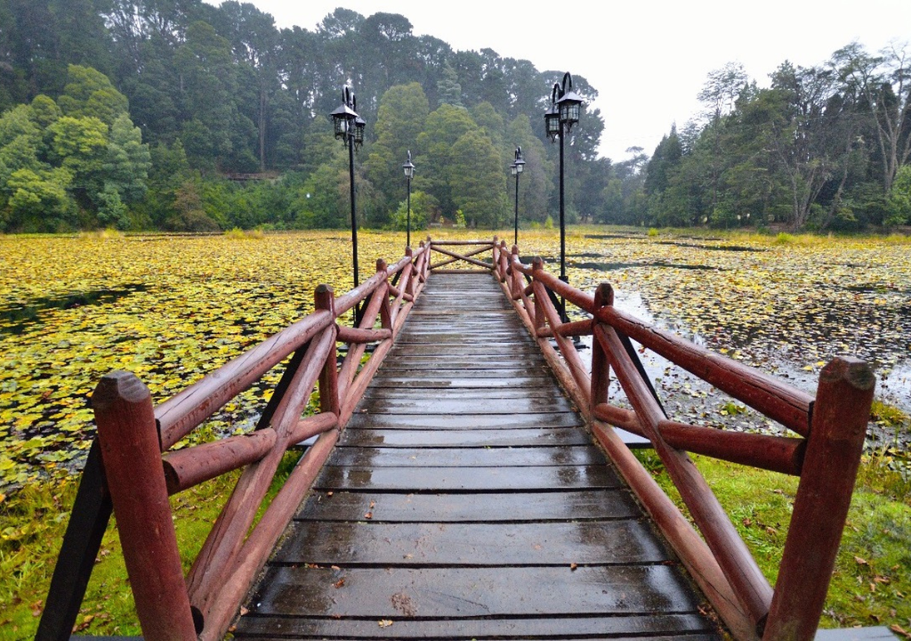 Parque Saval, Valdivia.
