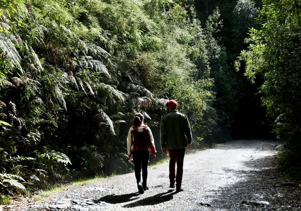 Parque Oncol, Región de Los Ríos.
