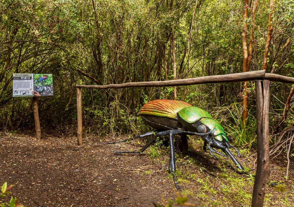 Parque de Insectos Ishiku Lemu.