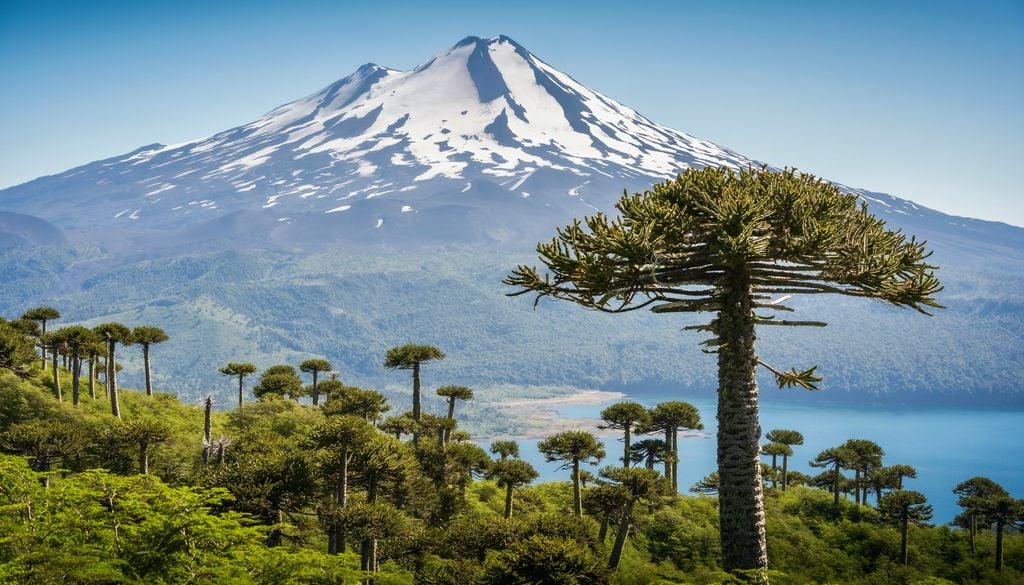 Parque Nacional Conguillío, Región de la Araucanía. El Parque Nacional Conguillío es conocido por sus paisajes de volcanes y araucarias.