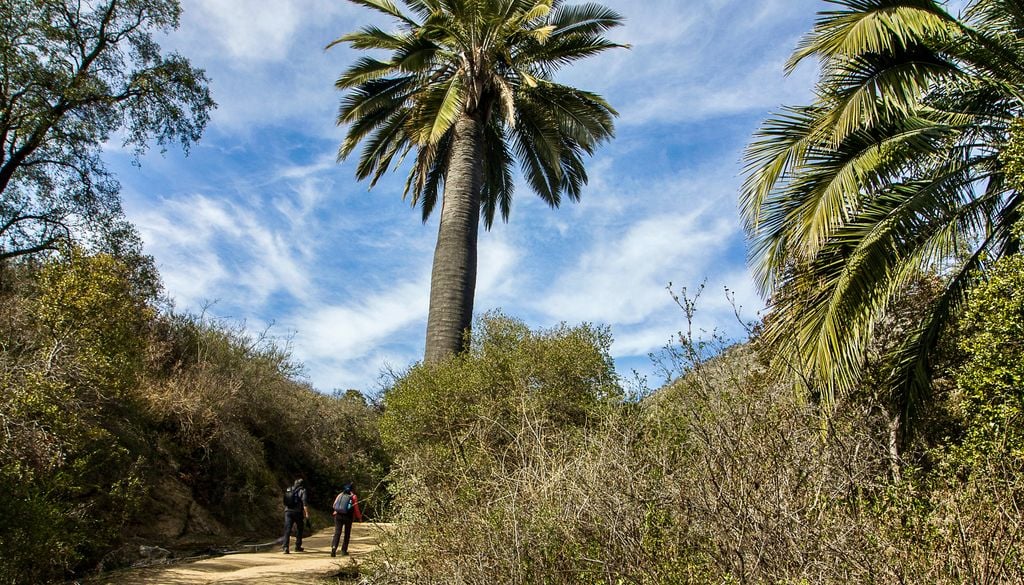 Parque Nacional La Campana. El Parque Nacional La Campana es una de las principales áreas protegidas de la Región de Valparaíso.