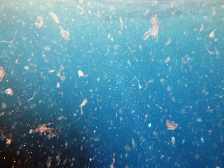 Microplasticos Microplasticos