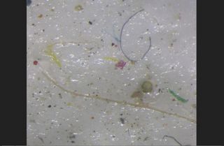 Los microplásticos ya están en el Ártico