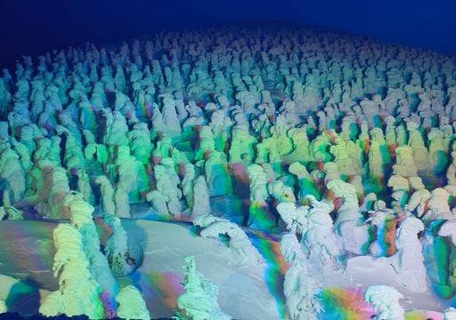 Los míticos “monstruos de nieve” de Japón se desvanecen: las famosas esculturas naturales de Zao podrían desaparecer