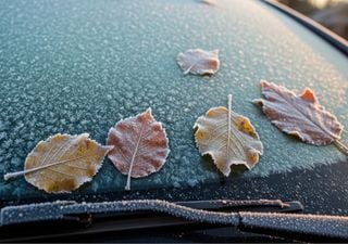 Los modelos ECMWF y GFS dan fecha del próximo frente frío: fuerte “Norte”, lluvias y descenso de temperatura