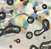 Los niveles de los gases efecto invernadero son los más altos desde hace 650.000 años
