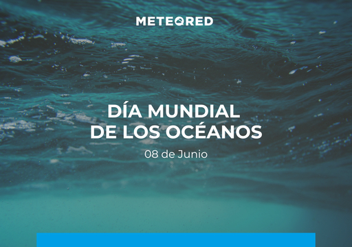 &iexcl;Los oc&eacute;anos en peligro! Guerras, turismo y fracking asfixian el motor de la vida de estos ecosistemas marinos