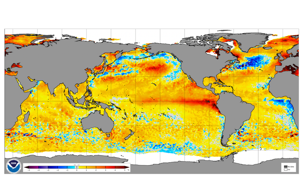 Anomalías de SST Anomalías de temperatura superficial del mar del día 30 de junio de 2026 según datos del NOAA Coral Reef Watch.