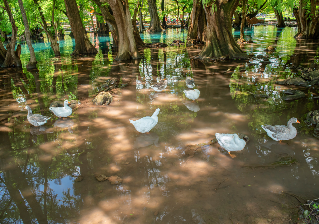 humedal; biodiversidad; ecologia; cambio climatico; carbono; Mexico; sostenibilidad; Parque Nacional