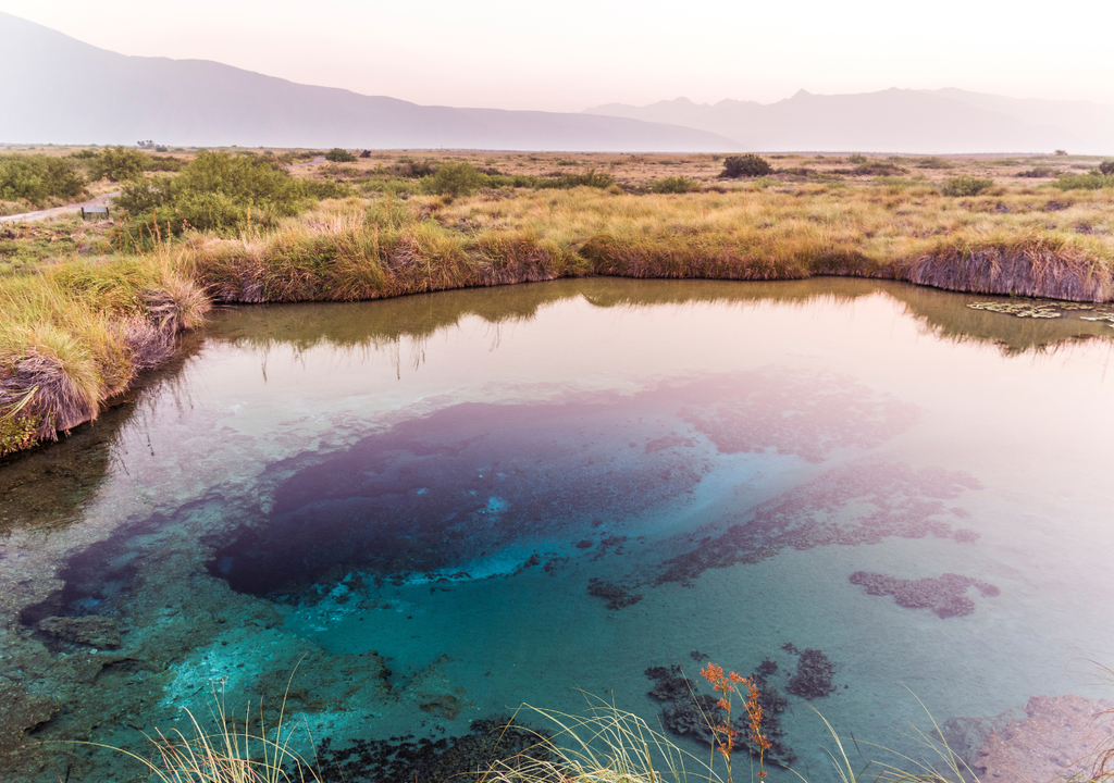 humedal; ecosistema; biodiversidad; cambio climatico; ciclo del agua; carbono humedal; ecosistema; biodiversidad; cambio climatico; ciclo del agua; carbono